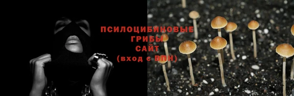 эйфоретик Осинники