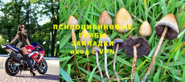 эйфоретик Осинники