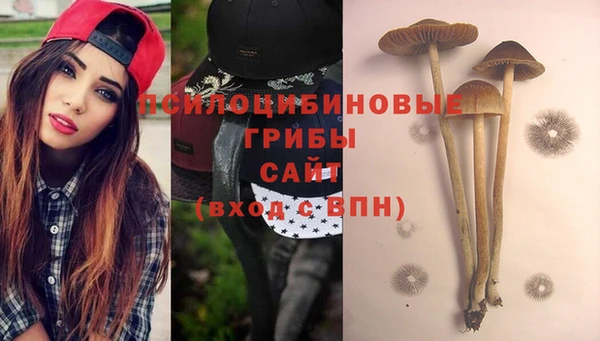 винт Осташков