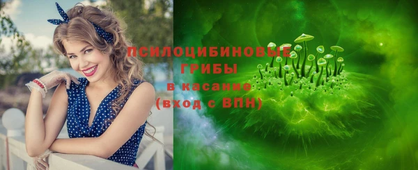 винт Осташков